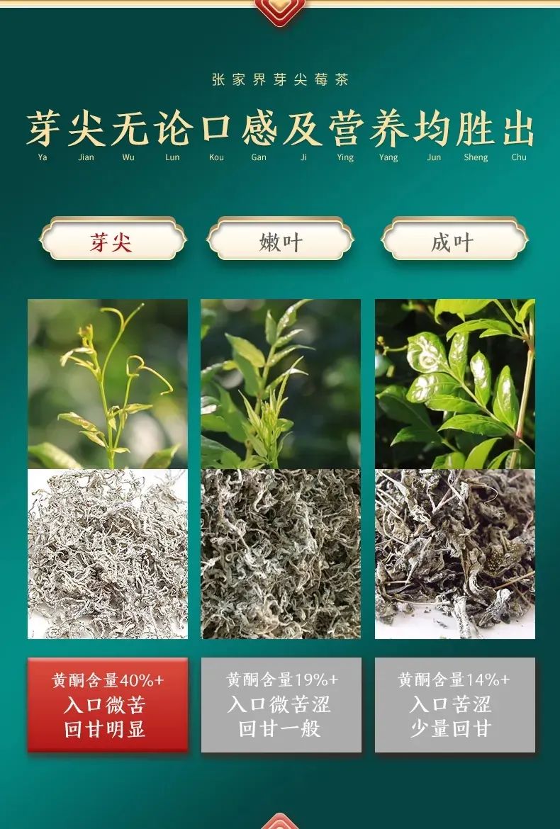 张家界富硒霉茶