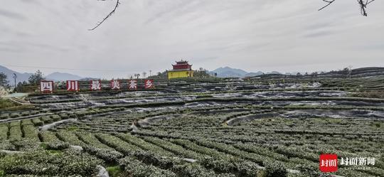 万源富硒茶官网