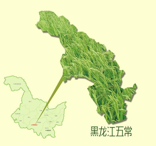 富硒大米成熟期