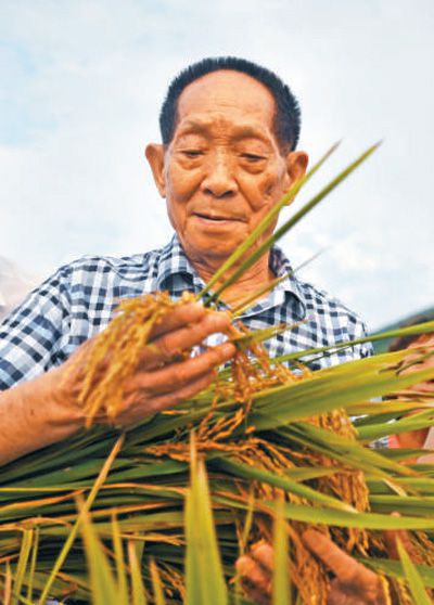 袁隆平大米富硒