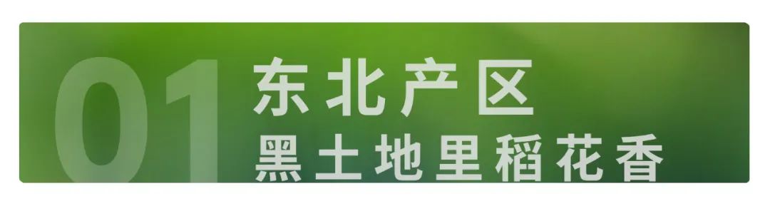 富硒大米佳木斯