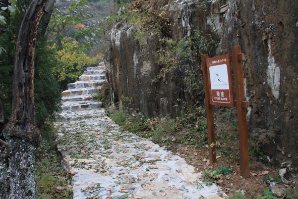 古河道富硒大米