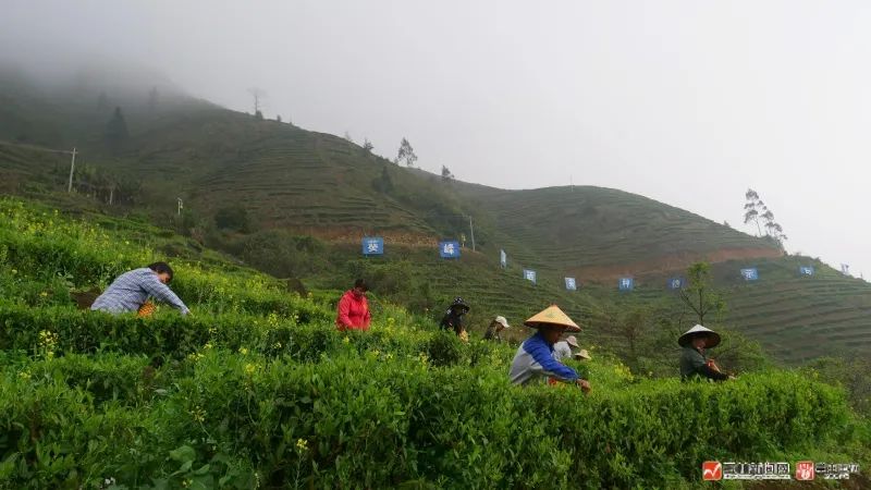 富硒大米 蒲塘