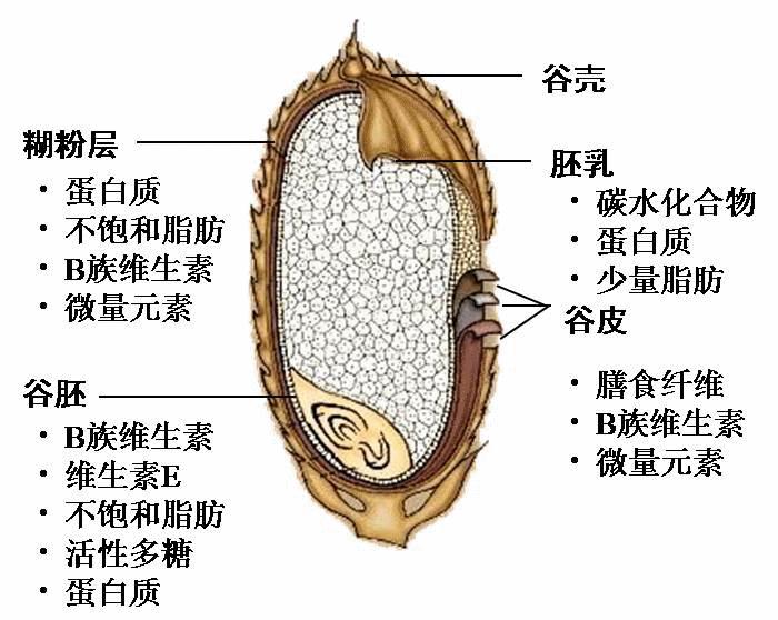 滨州富硒锌大米