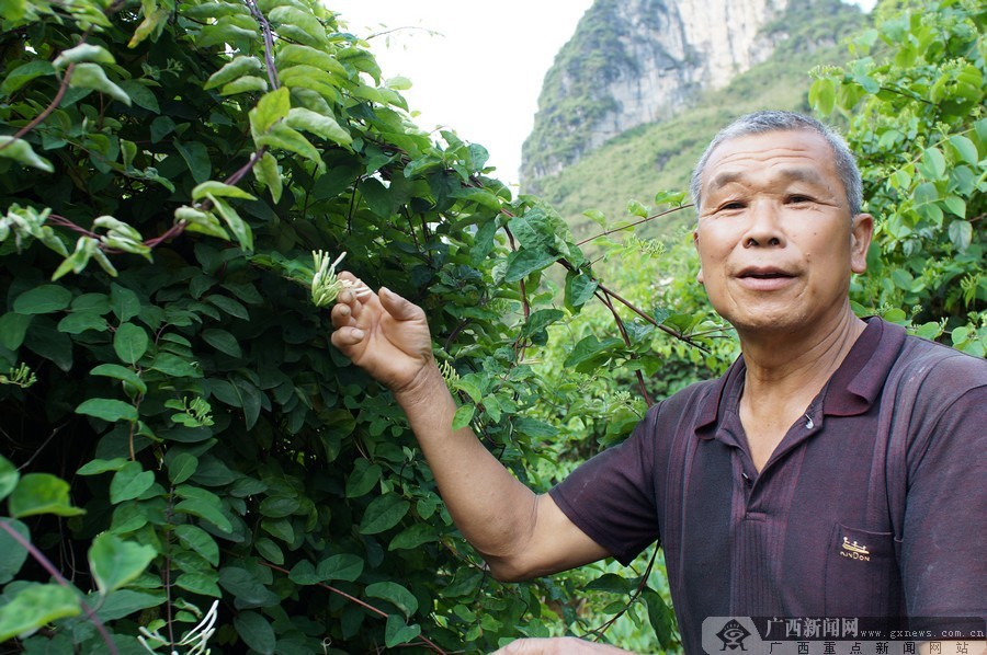 湖南富硒的大米