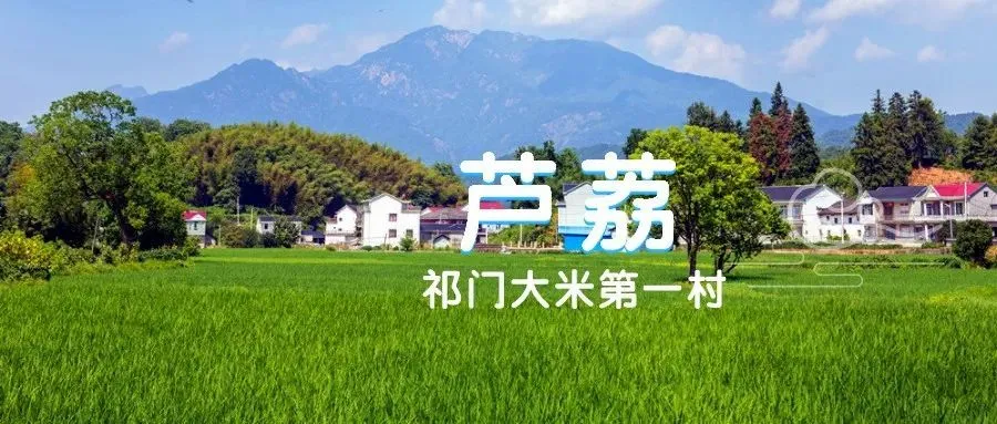 滦河川富硒大米