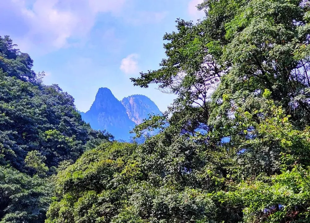 滦河川富硒大米