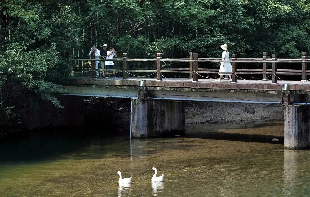 滦河川富硒大米