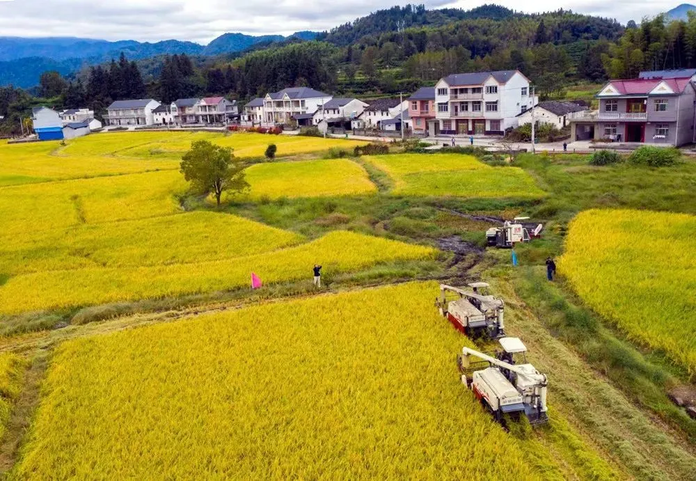 滦河川富硒大米