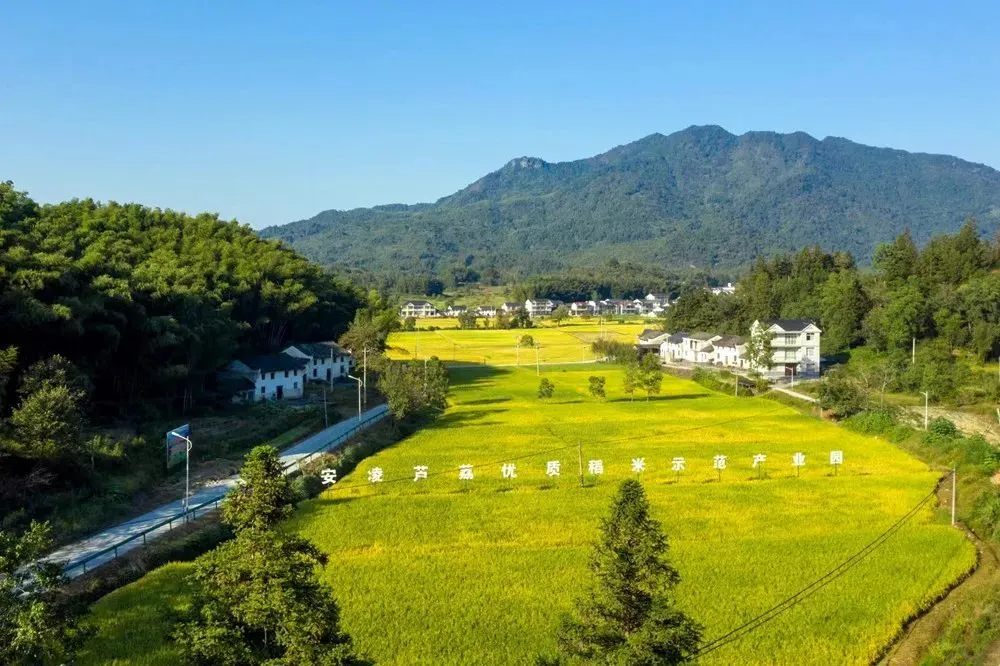 滦河川富硒大米