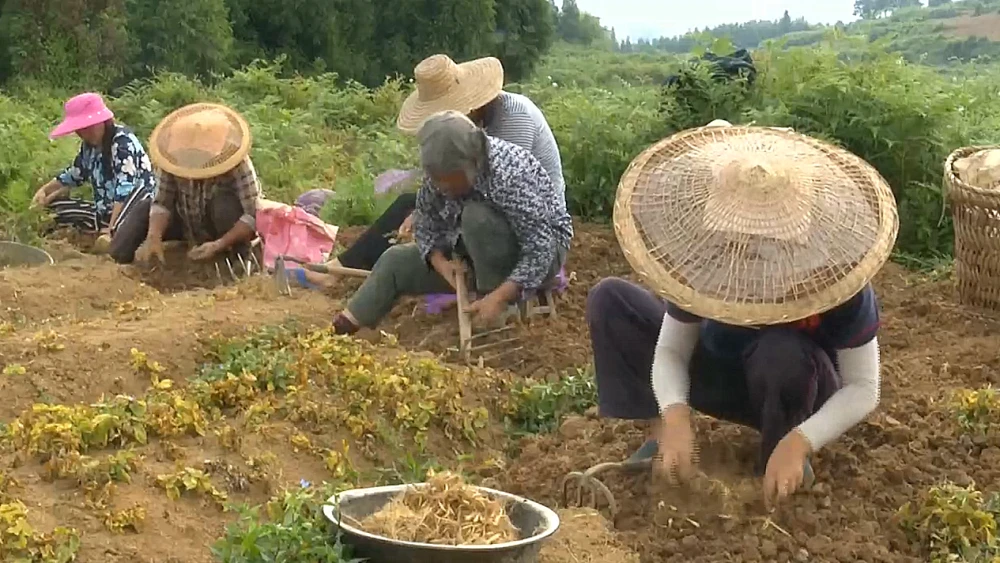 桃源富硒大米沈