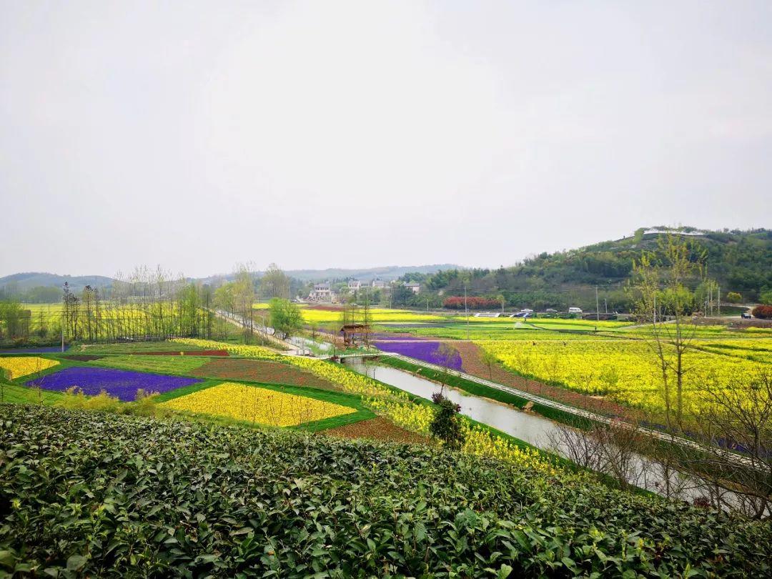 西子湖富硒大米