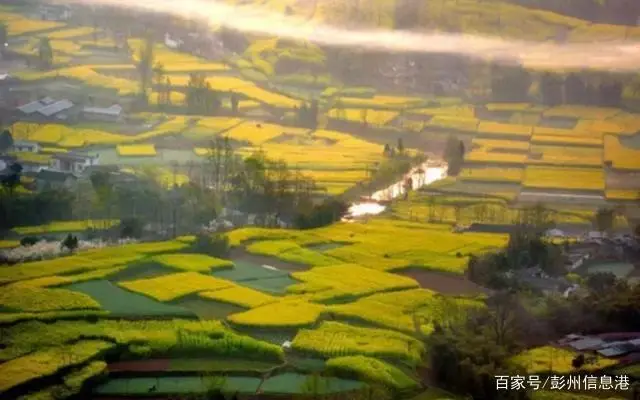 莲花山富硒大米