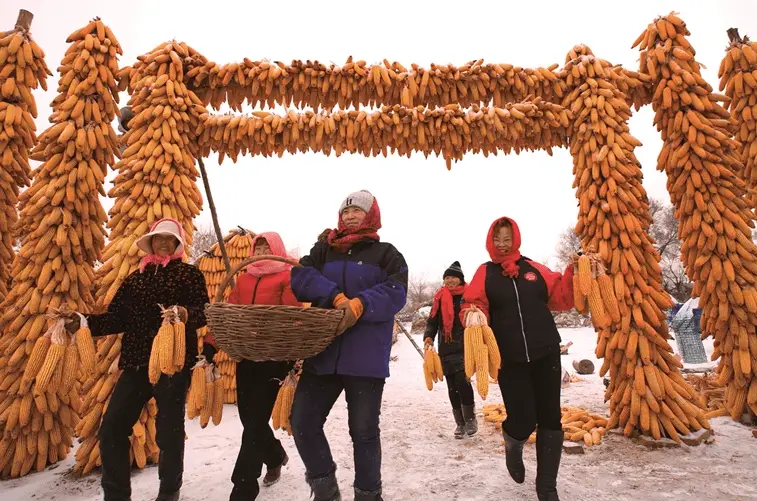 梨树县富硒大米