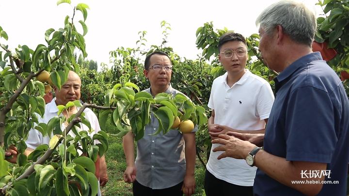 梨树县富硒大米