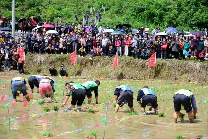 富硒大米发布会