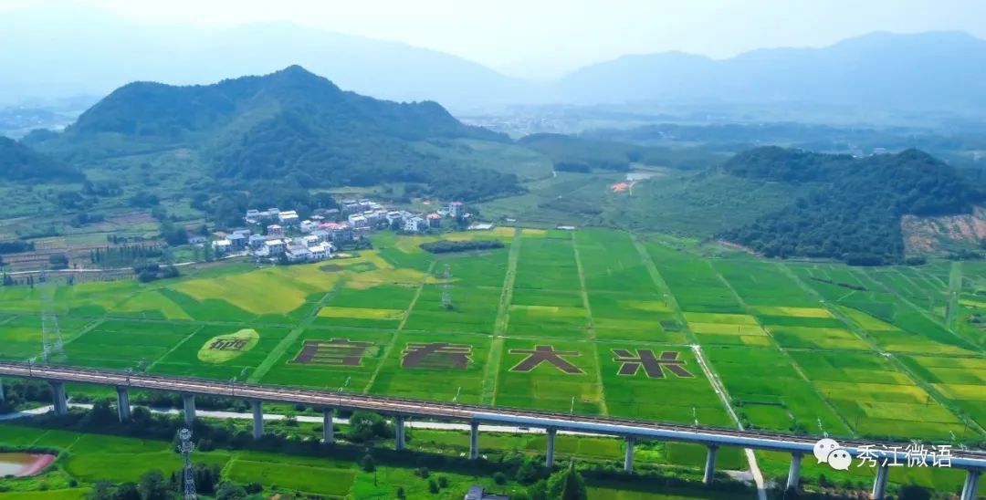 四川富硒源大米