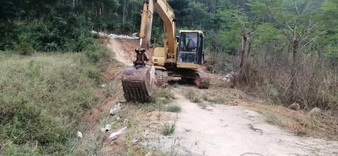 山口镇富硒地瓜