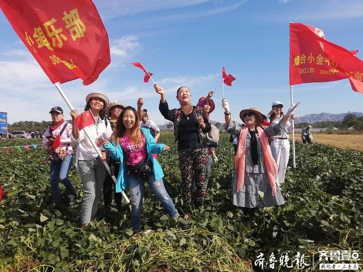 富硒流油烤地瓜