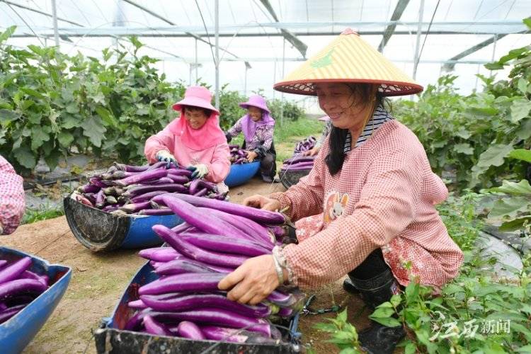 潭头村富硒蔬菜