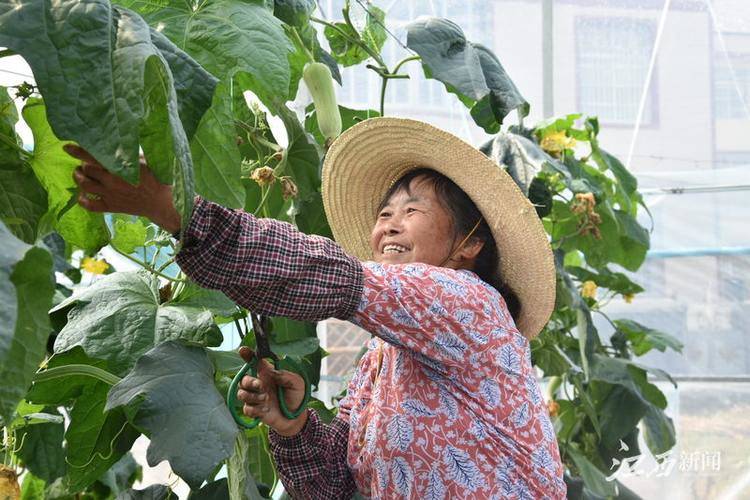 潭头村富硒蔬菜