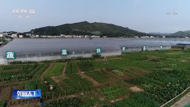 张家口富硒蔬菜