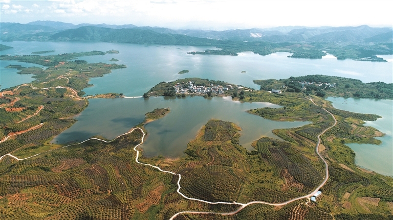 夷陵区富硒水果