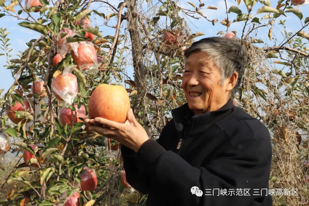 富硒水果的未来