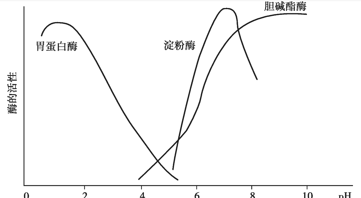 硒产品应用指南