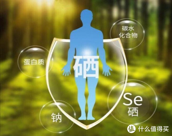 关于硒的5个疑问，看完你就懂了