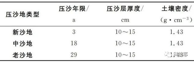 硒砂瓜产品定位