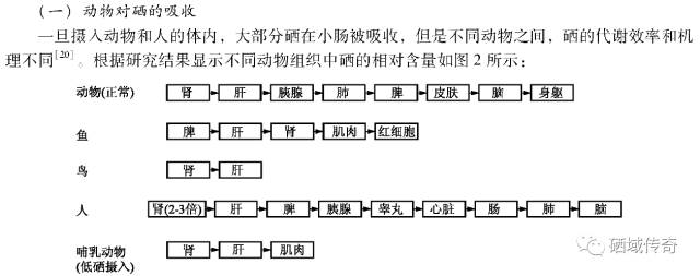 效果好的硒产品