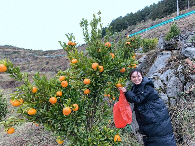 种植含硒农产品