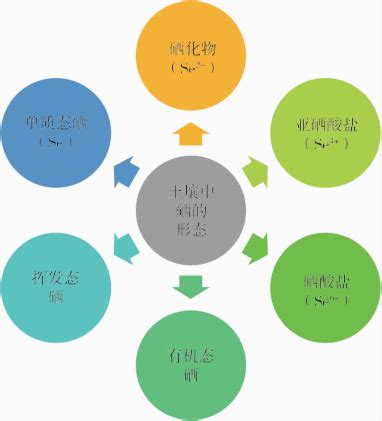 维康硒的作用与用途