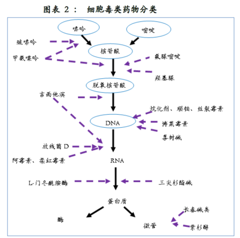 胃癌能吃硒维康