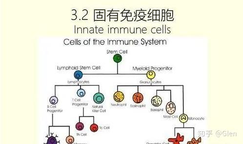 抗氧化剂硒维康