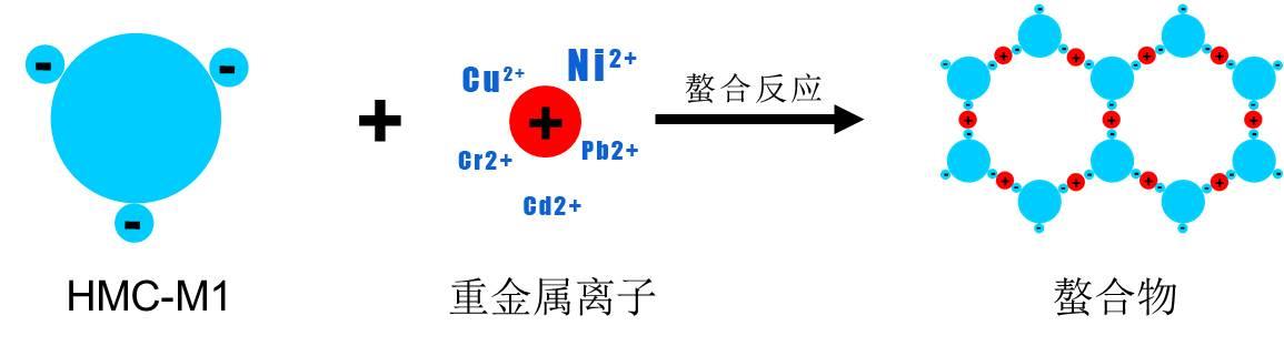 蛋白锌硒宝成人