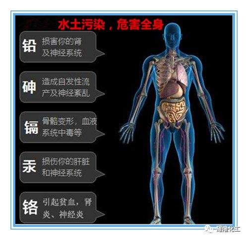 蛋白锌硒宝成人