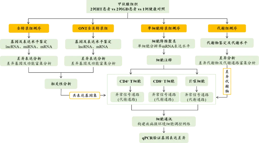 乔本甲状腺补硒