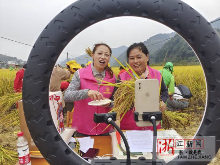 卖富硒茶直播间