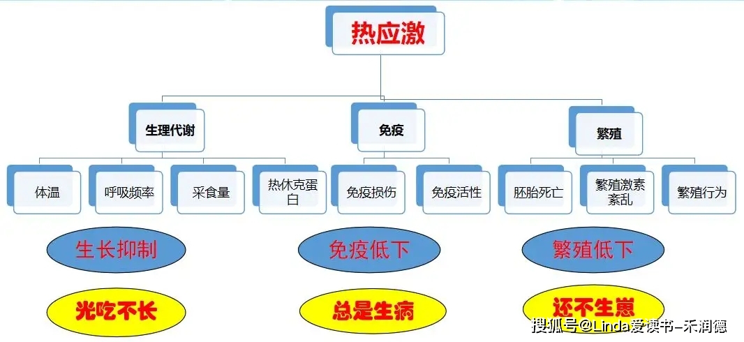 给羊补硒时能驱虫吗