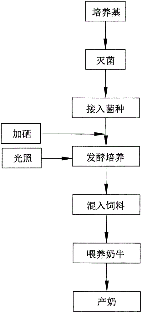 一种基于发酵处理生物转化硒的富硒牛奶及生产方法与流程