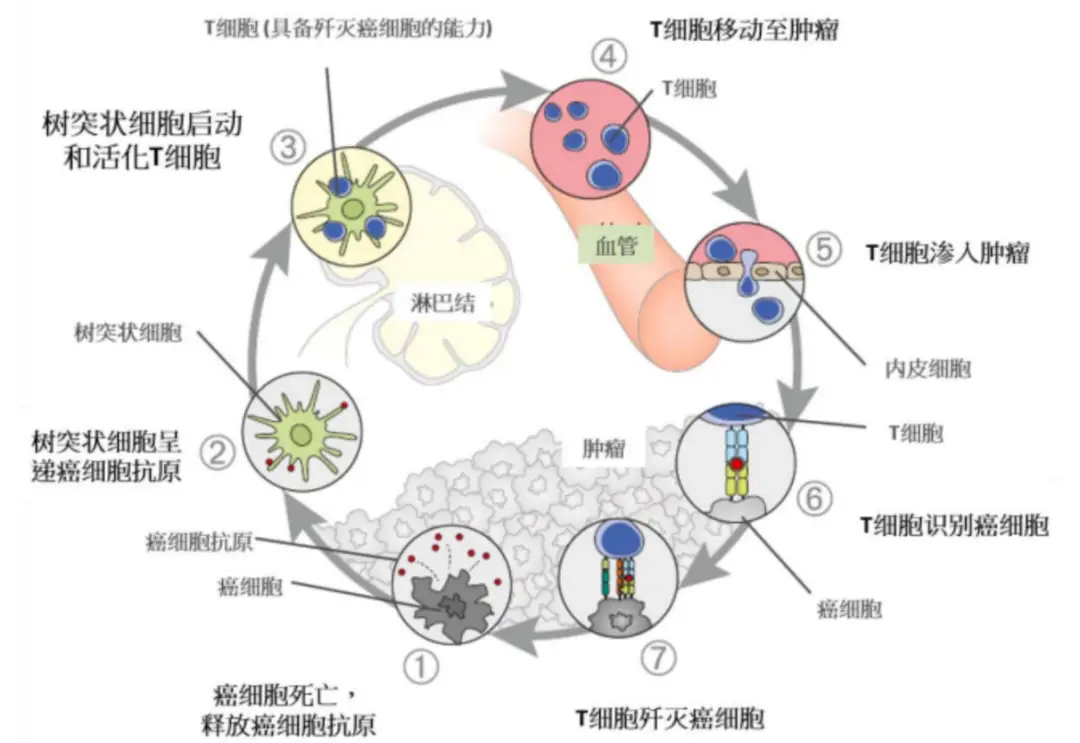 类风湿需要补硒吗