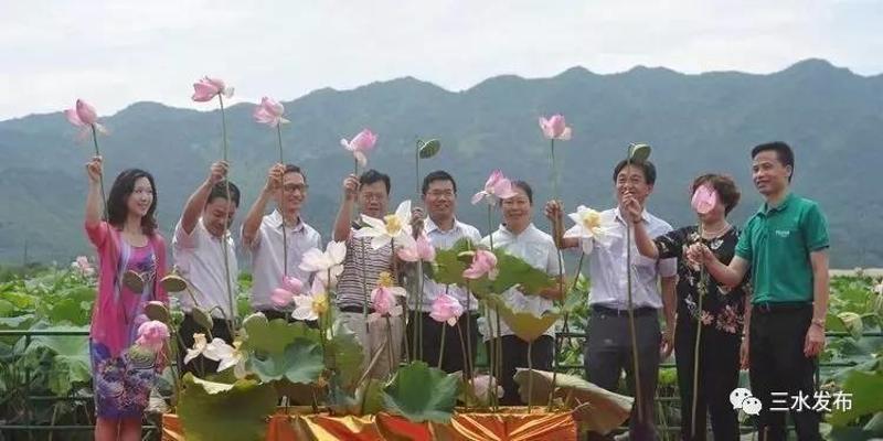 富硒水果评测