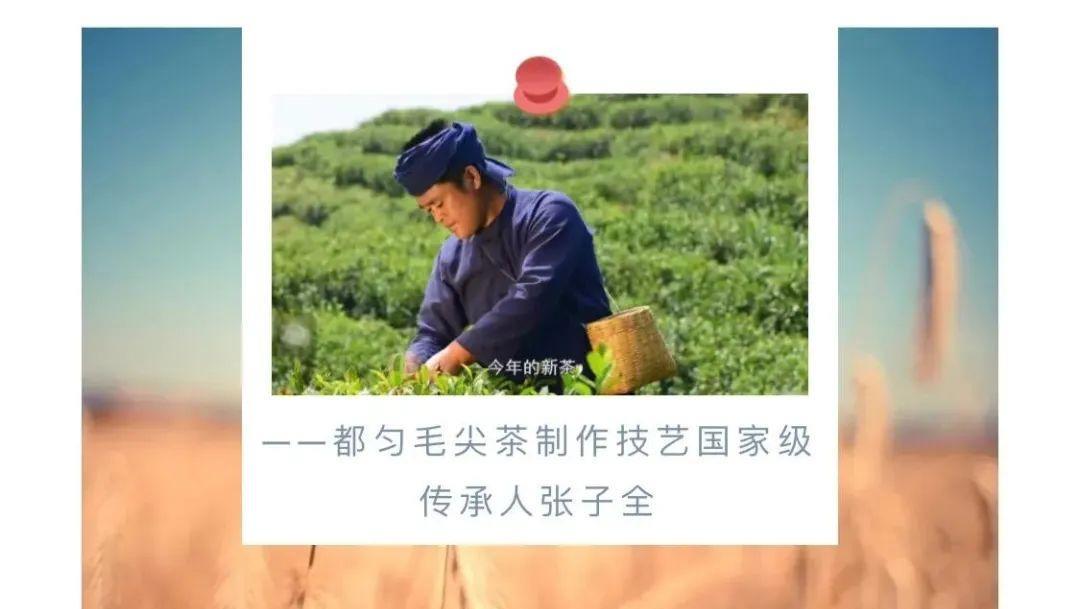 醇香的恩施富硒茶价格