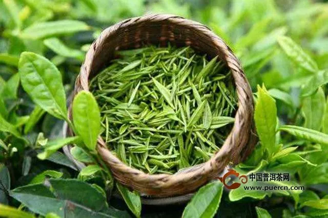 凤冈锌硒茶属于什么茶