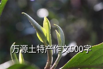 万源土特产作文500字