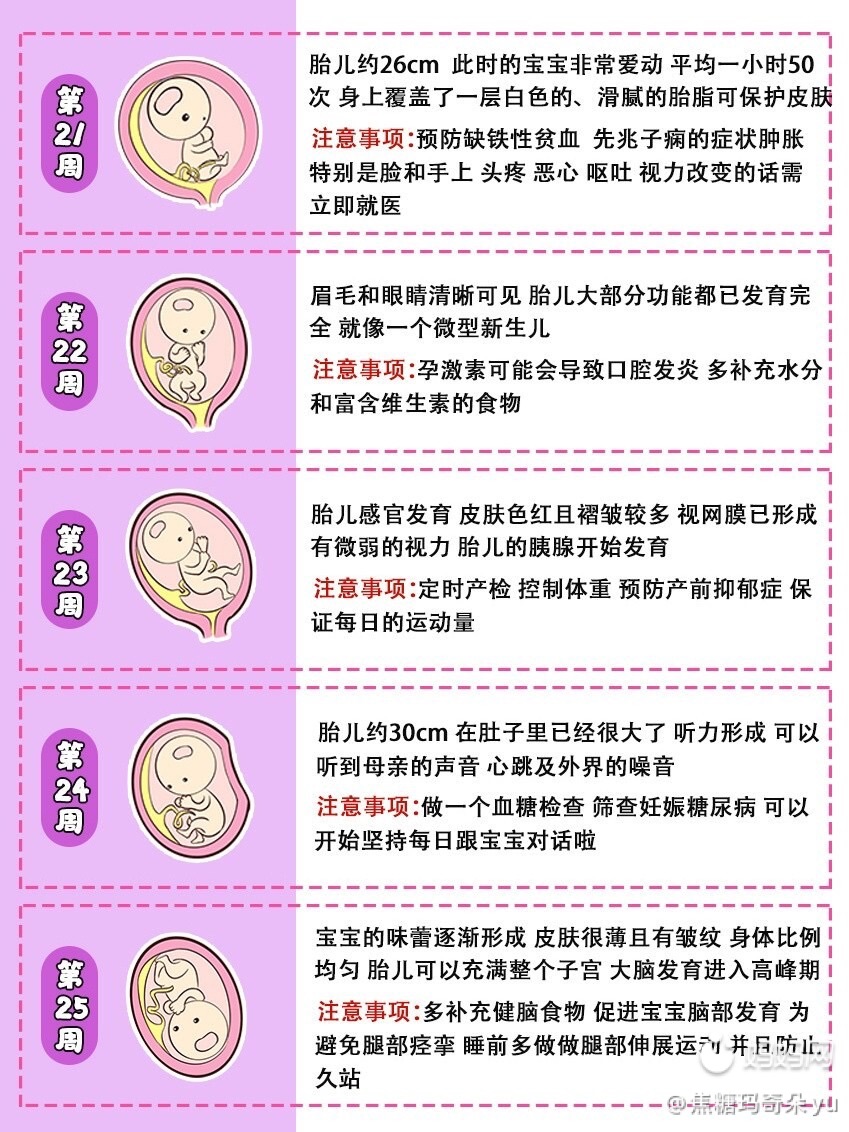 伊分子锌硒宝价格