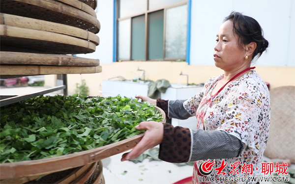 富硒桑叶茶的功效