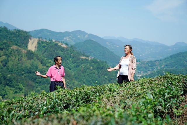 紫阳富硒茶观光园